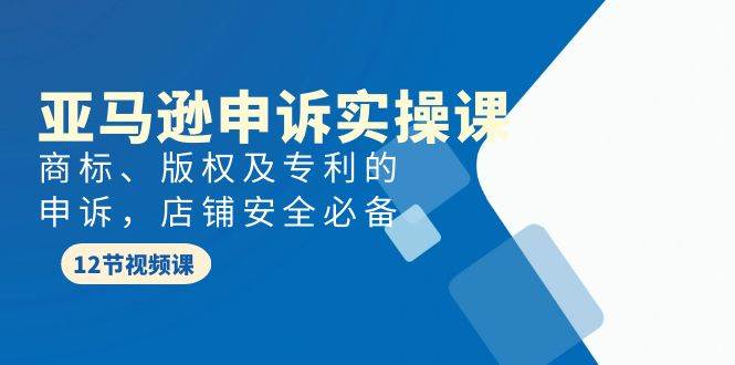 （9754期）亚马逊-申诉实战课，​商标、版权及专利的申诉，店铺安全必备插图