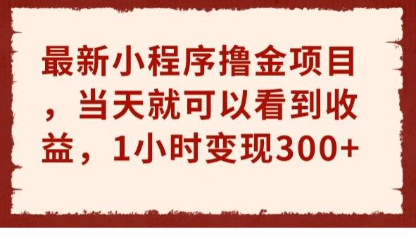 最新小程序撸金项目，当天就可以看到收益，1小时变现300+【揭秘】插图