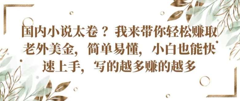 国内小说太卷 ?带你轻松赚取老外美金，简单易懂，小白也能快速上手，写的越多赚的越多【揭秘】插图