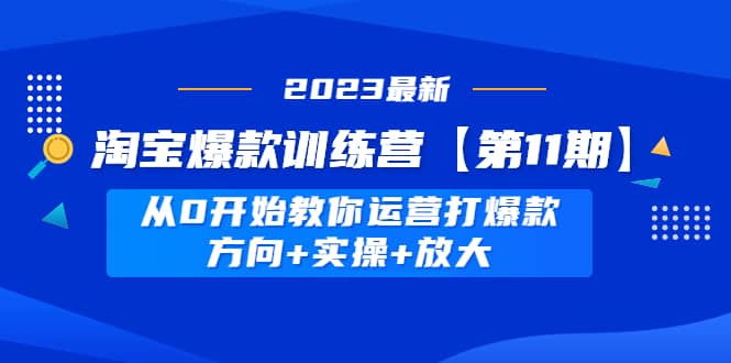 淘宝爆款训练营【第11期】 从0开始教你运营打爆款，方向+实操+放大插图