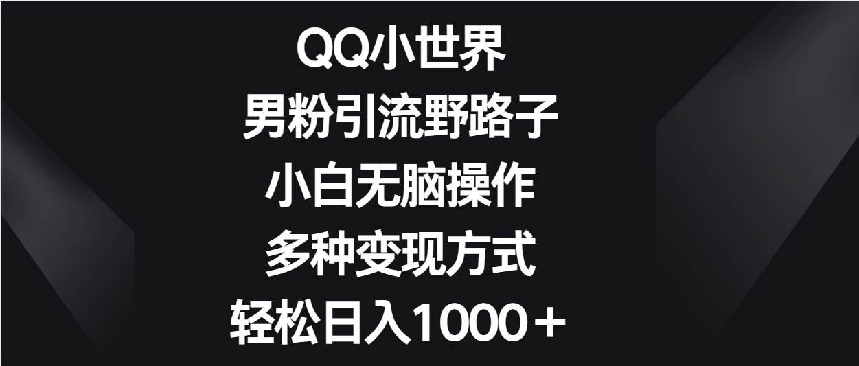 QQ小世界男粉引流野路子，小白无脑操作，多种变现方式轻松日入1000＋插图