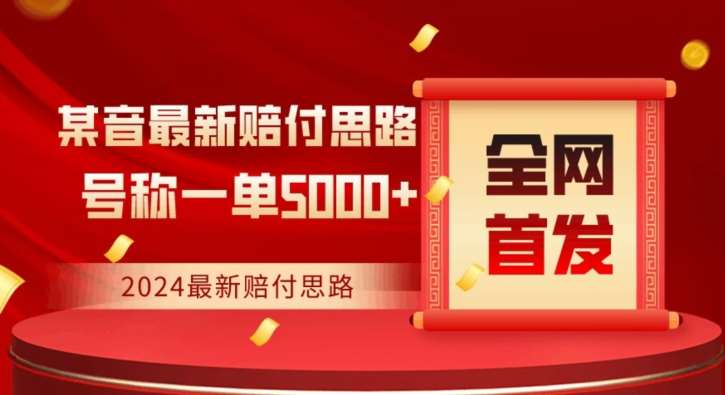 全网首发，2024最新抖音赔付项目，号称一单5000+保姆级拆解【仅揭秘】插图