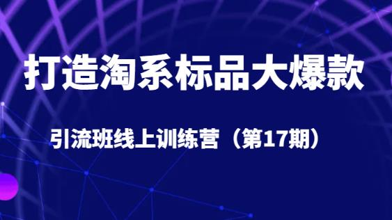 打造淘系标品大爆款引流班线上训练营5天直播授课插图