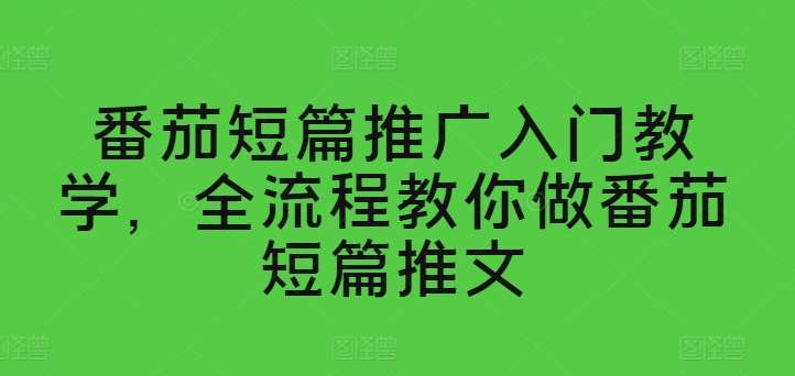 番茄短篇推广入门教学，全流程教你做番茄短篇推文插图