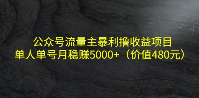 公众号流量主暴利撸收益项目，单人单号月稳赚5000+（价值480元）插图