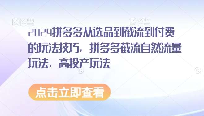 2024拼多多从选品到截流到付费的玩法技巧，拼多多截流自然流量玩法，高投产玩法插图