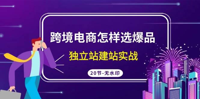 （9369期）跨境电商怎样选爆品，独立站建站实战（20节高清无水印课）插图