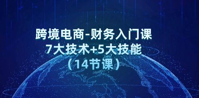 （12047期）跨境电商-财务入门课：7大技术+5大技能（14节课）插图