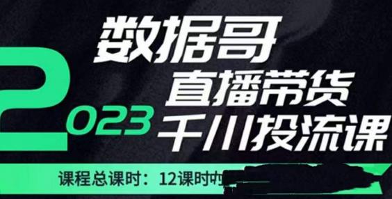 数据哥2023直播电商巨量千川付费投流实操课，快速掌握直播带货运营投放策略插图