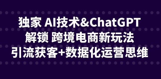 独家 AI技术ChatGPT解锁 跨境电商新玩法，引流获客+数据化运营思维插图