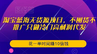 淘宝蓝海无货源项目，不囤货不推广只做冷门高利润代发，花一半时间赚10倍钱插图