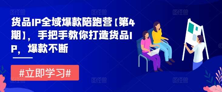 货品IP全域爆款陪跑营【第4期】，手把手教你打造货品IP，爆款不断插图