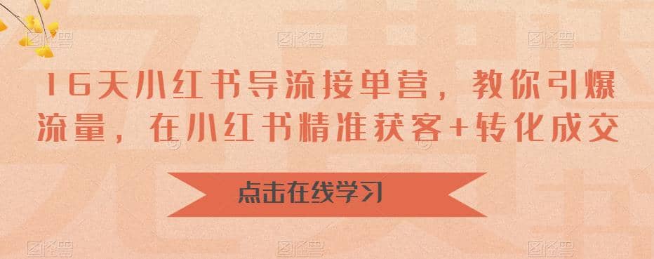 16天-小红书 导流接单营，教你引爆流量，在小红书精准获客+转化成交插图