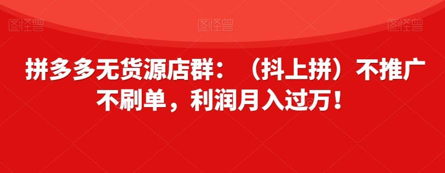 拼多多无货源店群：（抖上拼）不推广不刷单，利润月入过万！【揭秘】插图