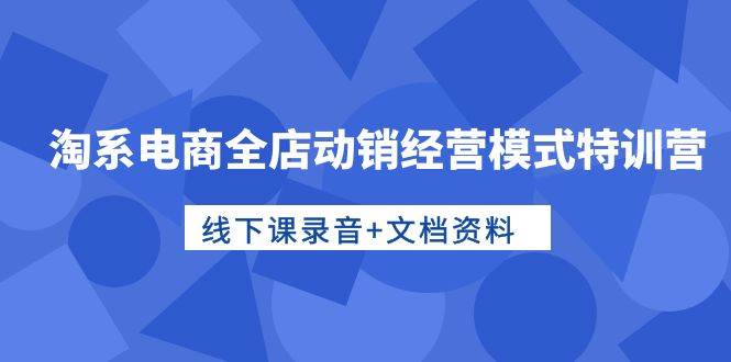 （10192期）淘系电商全店动销经营模式特训营，线下课录音+文档资料插图