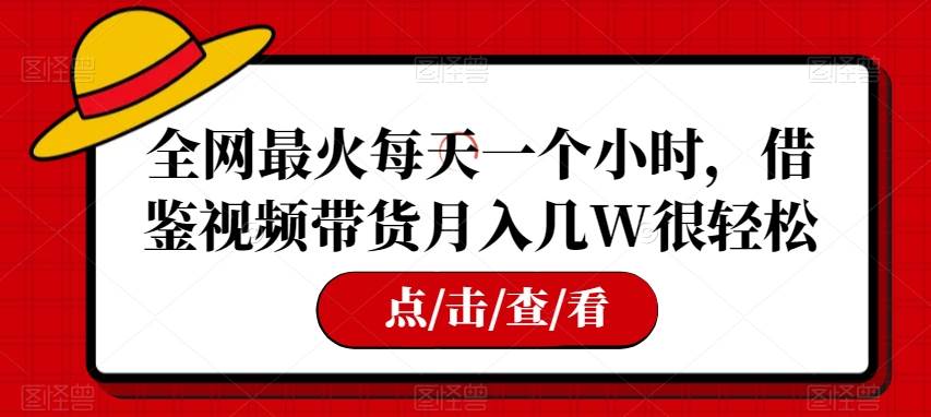 全网最火每天一个小时，借鉴视频带货月入几W很轻松【揭秘】插图