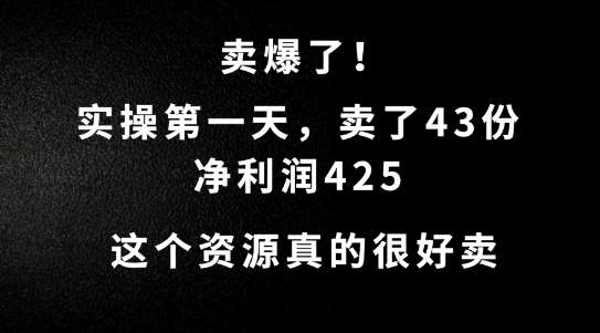 这个资源，需求很大，实操第一天卖了43份，净利润425【揭秘】插图