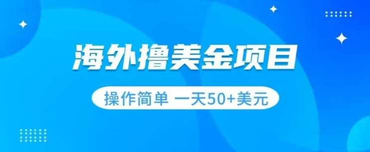 撸美金项目无门槛操作简单小白一天50+美刀插图