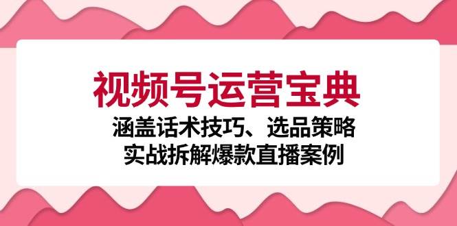 （12808期）视频号运营宝典：涵盖话术技巧、选品策略、实战拆解爆款直播案例插图