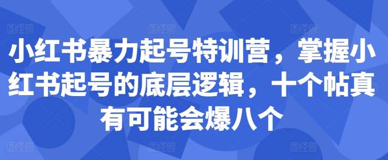 小红书暴力起号特训营，掌握小红书起号的底层逻辑，十个帖真有可能会爆八个插图