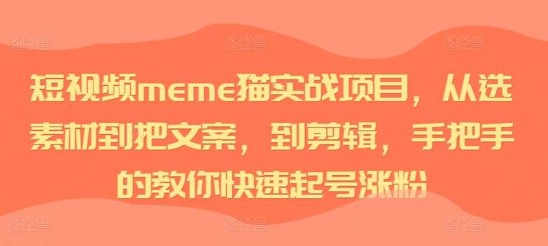 短视频meme猫实战项目，从选素材到把文案，到剪辑，手把手的教你快速起号涨粉插图