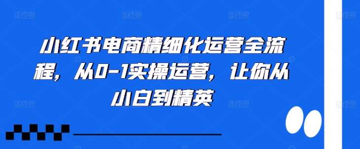 小红书电商精细化运营全流程，从0-1实操运营，让你从小白到精英插图