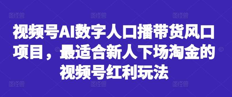 视频号AI数字人口播带货风口项目，最适合新人下场淘金的视频号红利玩法插图