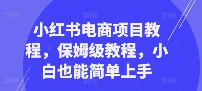 小红书电商项目教程，保姆级教程，小白也能简单上手插图