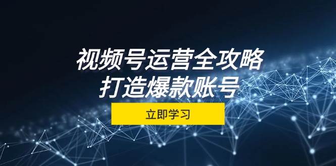 视频号运营全攻略，从定位到成交一站式学习，视频号核心秘诀，打造爆款账号插图