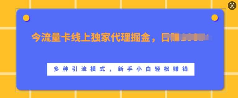 流量卡线上独家代理掘金，日入1k+ ，多种引流模式，新手小白轻松上手【揭秘】插图