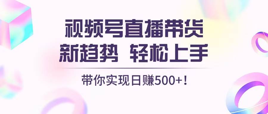 （13370期）视频号直播带货新趋势，轻松上手，带你实现日赚500+插图