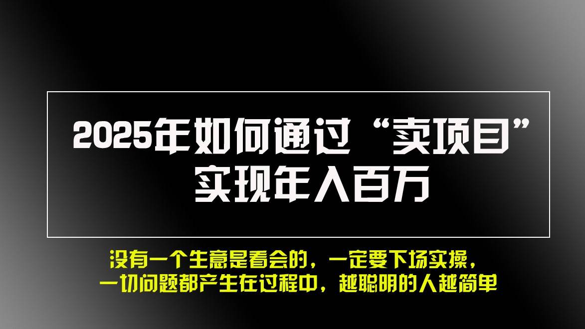 2025年如何通过“卖项目”实现年入百万插图