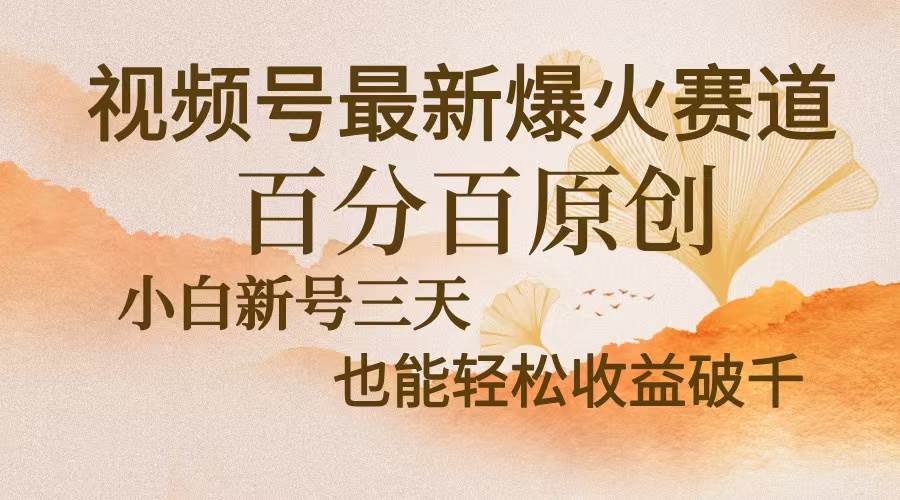 （13225期）视频号最新爆火赛道，中老年粉深信不疑，百分百原创，新号三天收益轻松…插图