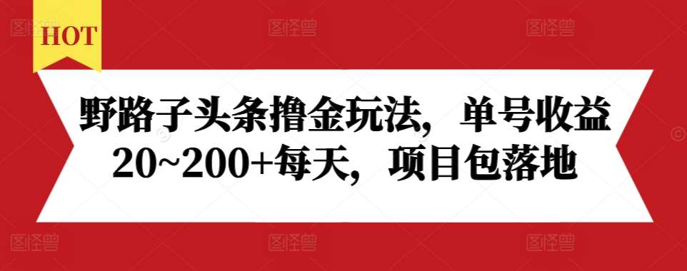 野路子头条撸金玩法，单号收益20~200+每天，项目包落地插图