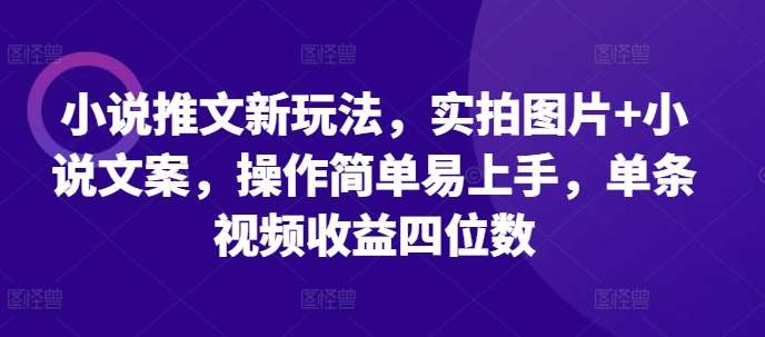 小说推文新玩法，实拍图片+小说文案，操作简单易上手，单条视频收益四位数插图