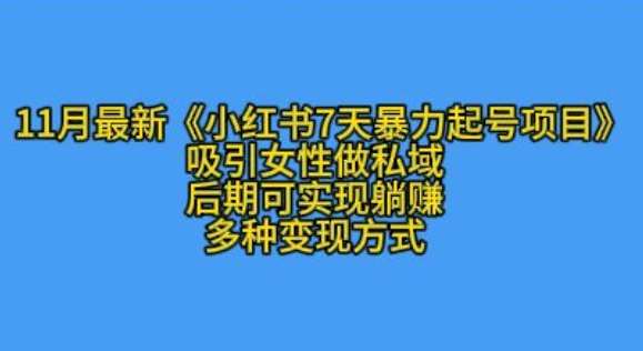 K总部落11月最新小红书7天暴力起号项目，吸引女性做私域【揭秘】插图