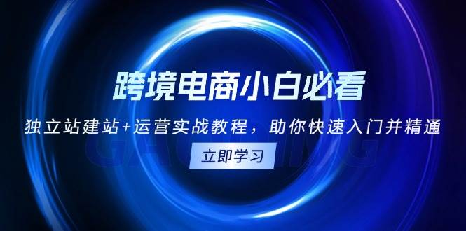 （13503期）跨境电商小白必看！独立站建站+运营实战教程，助你快速入门并精通插图