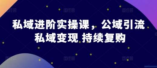 私域进阶实操课，公域引流 私域变现 持续复购插图