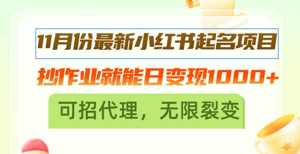 （13256期）11月份最新小红书起名项目，抄作业就能日变现1000+，可招代理，无限裂变插图