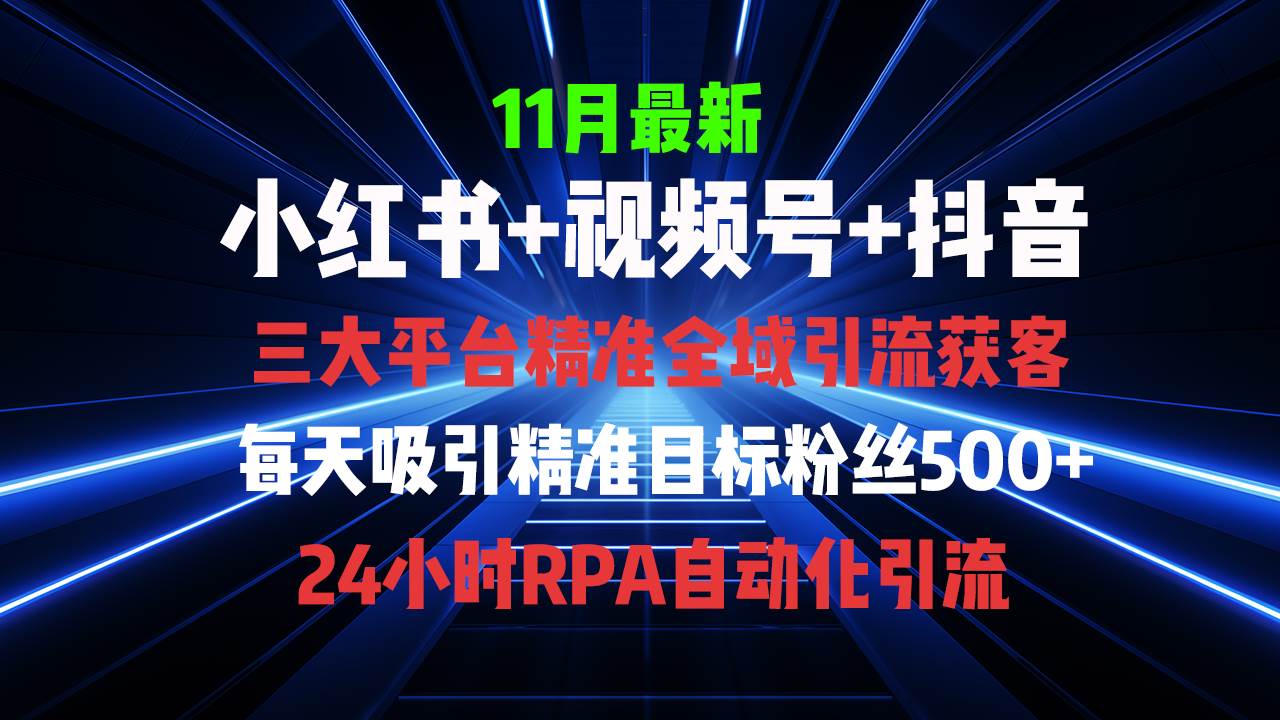 （13259期）全域多平台引流私域打法，小红书，视频号，抖音全自动获客，截流自…插图